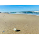 Ferienhaus 21